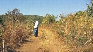 The road to the village.